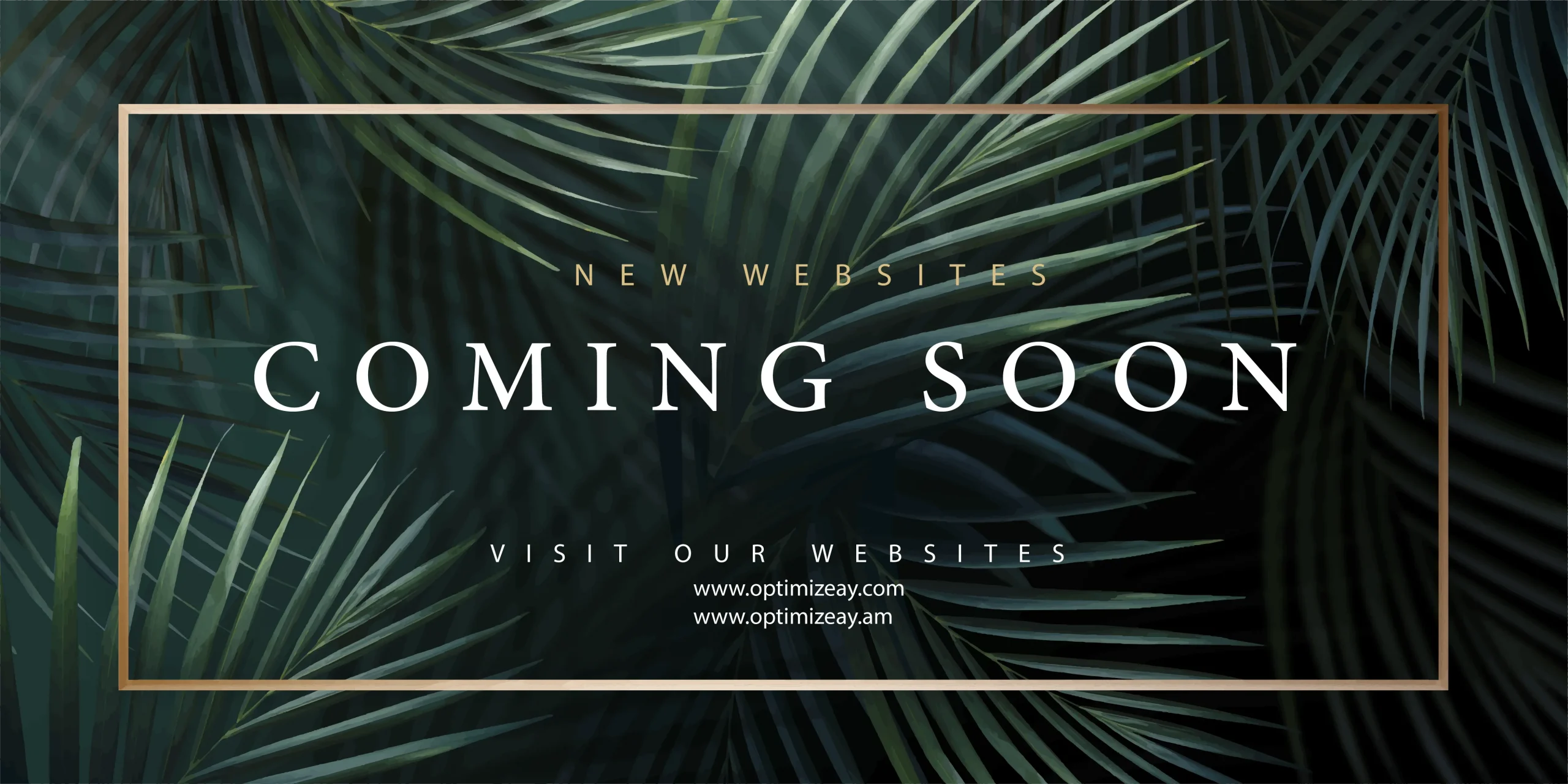 websites coming soon